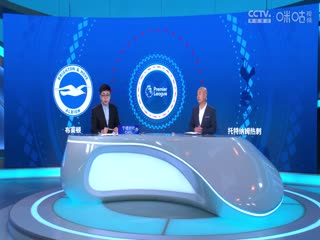 英超联赛 布莱顿VS托特纳姆热刺 20241006海报