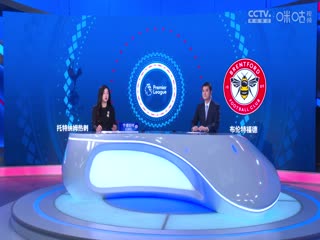 英超联赛 托特纳姆热刺VS布伦特福德 20240921海报