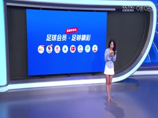 英超联赛 西汉姆联VS曼城 20240901海报