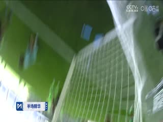 德甲联赛 沃尔夫斯堡VS拜仁慕尼黑 20240825海报