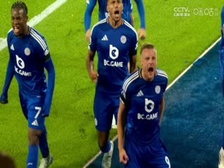 英超联赛 托特纳姆热刺VS埃弗顿 20240824海报