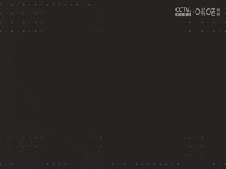 意甲联赛 帕尔马VS乌迪内斯 20240917海报