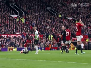 英超联赛 诺丁汉森林VS狼队 20240831海报