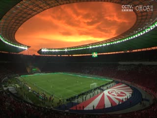 德国杯决赛 凯泽斯劳滕VS勒沃库森 20240526海报