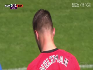 英超联赛 纽卡斯尔联VS布莱顿 20240511海报