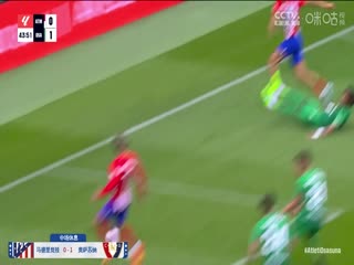 西甲联赛 马德里竞技VS奥萨苏纳 20240520海报