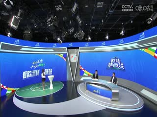 欧洲杯小组赛 荷兰VS奥地利 20240626海报