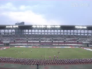 足协杯联赛 湖南湘涛VS石家庄功夫 20240518海报