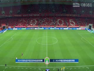 中超联赛 上海海港VS沧州雄狮 20240526海报