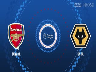 英超联赛 阿森纳VS狼队 20240817海报