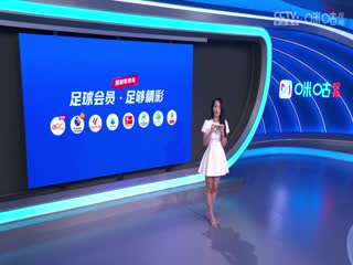 英超联赛 曼联VS富勒姆 20240817海报