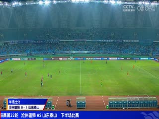 中超联赛 沧州雄狮VS山东泰山 20240809海报