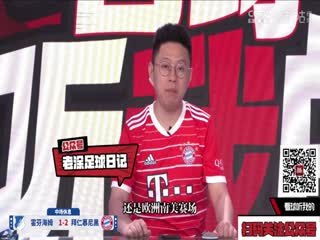 德甲联赛 霍芬海姆VS拜仁慕尼黑 20240518海报