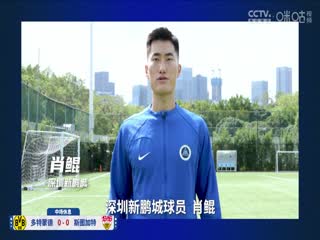 德甲联赛 多特蒙德VS斯图加特 20240407海报