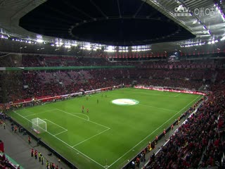 德国杯 勒沃库森VS杜塞尔多夫 20240404海报