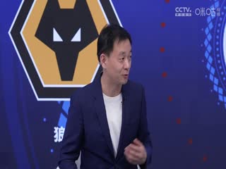 英超联赛 狼队VS阿森纳 20240421海报