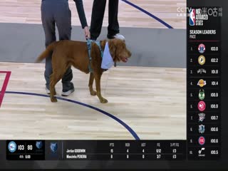 NBA常规赛 老鹰VS掘金 20240407海报