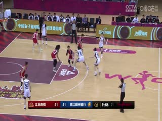 WCBA8进4决赛 江苏南钢VS浙江稠州银行 20240329（原声）海报