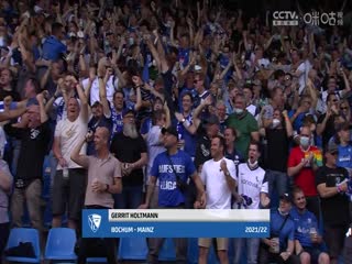 德甲联赛 波鸿VS霍芬海姆 20240427海报