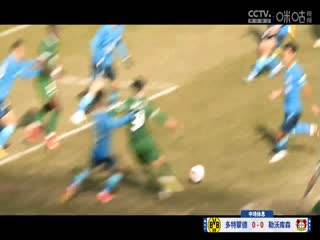 德甲联赛 多特蒙德VS勒沃库森 20240421海报