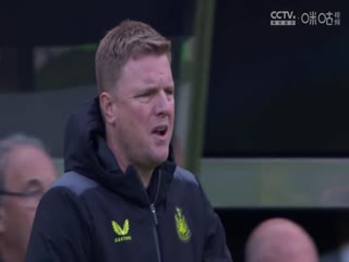 英超联赛 纽卡斯尔联VS谢菲尔德联 20240427海报