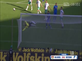 德甲联赛 勒沃库森VS霍芬海姆 20240330海报