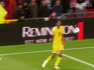 英超联赛 伯恩茅斯VS布莱顿 20240428海报