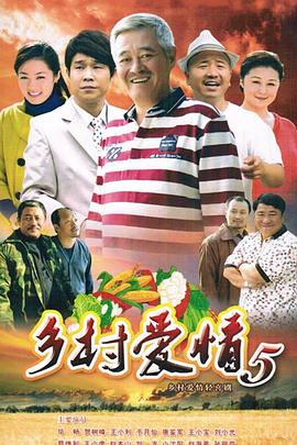 乡村爱情小夜曲海报