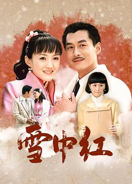 雪中红海报