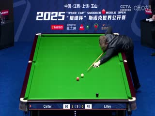 斯诺克玉山世界公开赛16进8 大卫·利利1-5阿里·卡特  20250226海报