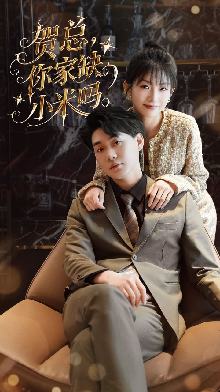 贺总你家缺小米吗海报