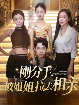 刚分手，被姐姐拉去相亲海报