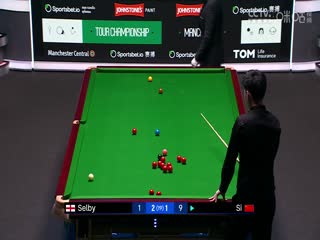 斯诺克巡回锦标赛12进8 马克·塞尔比6-2斯佳辉（第一阶段） 20250402海报