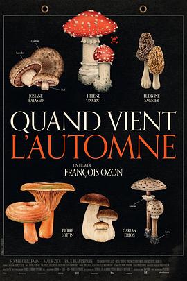 秋日何时来海报