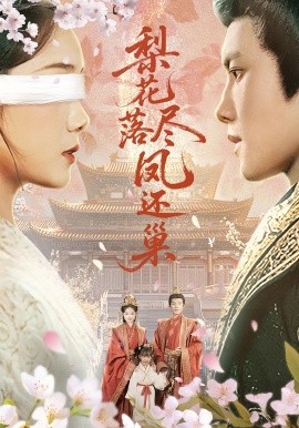 梨花落尽凤还巢海报