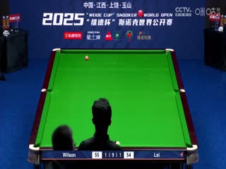 斯诺克玉山世界公开赛64进32 雷佩凡1-5凯伦·威尔逊  20250224海报
