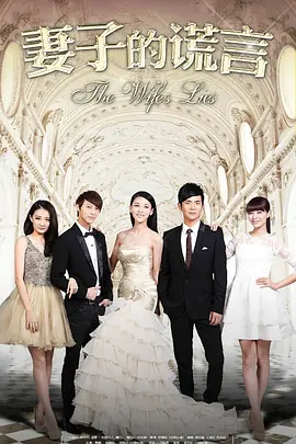 妻子的谎言海报