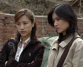 我的刑警朋友海报