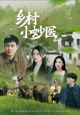 乡村小妙医海报