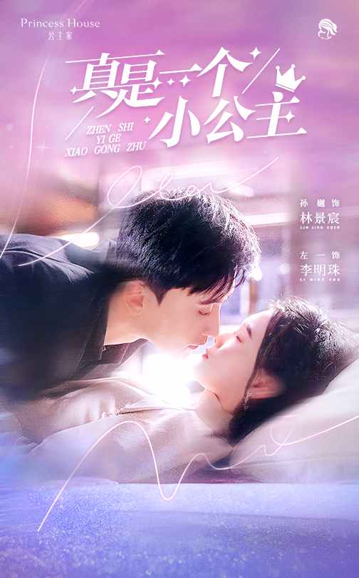 真是一个小公主海报