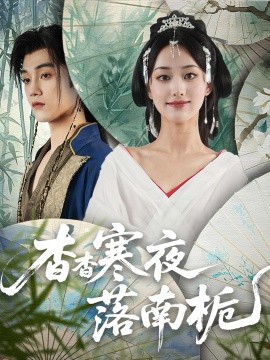 杳杳寒夜落南栀海报