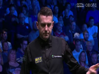 斯诺克巡回锦标赛决赛 马克·塞尔比8-10约翰·希金斯（第二阶段） 20250407海报