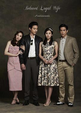 爱妻国语版海报