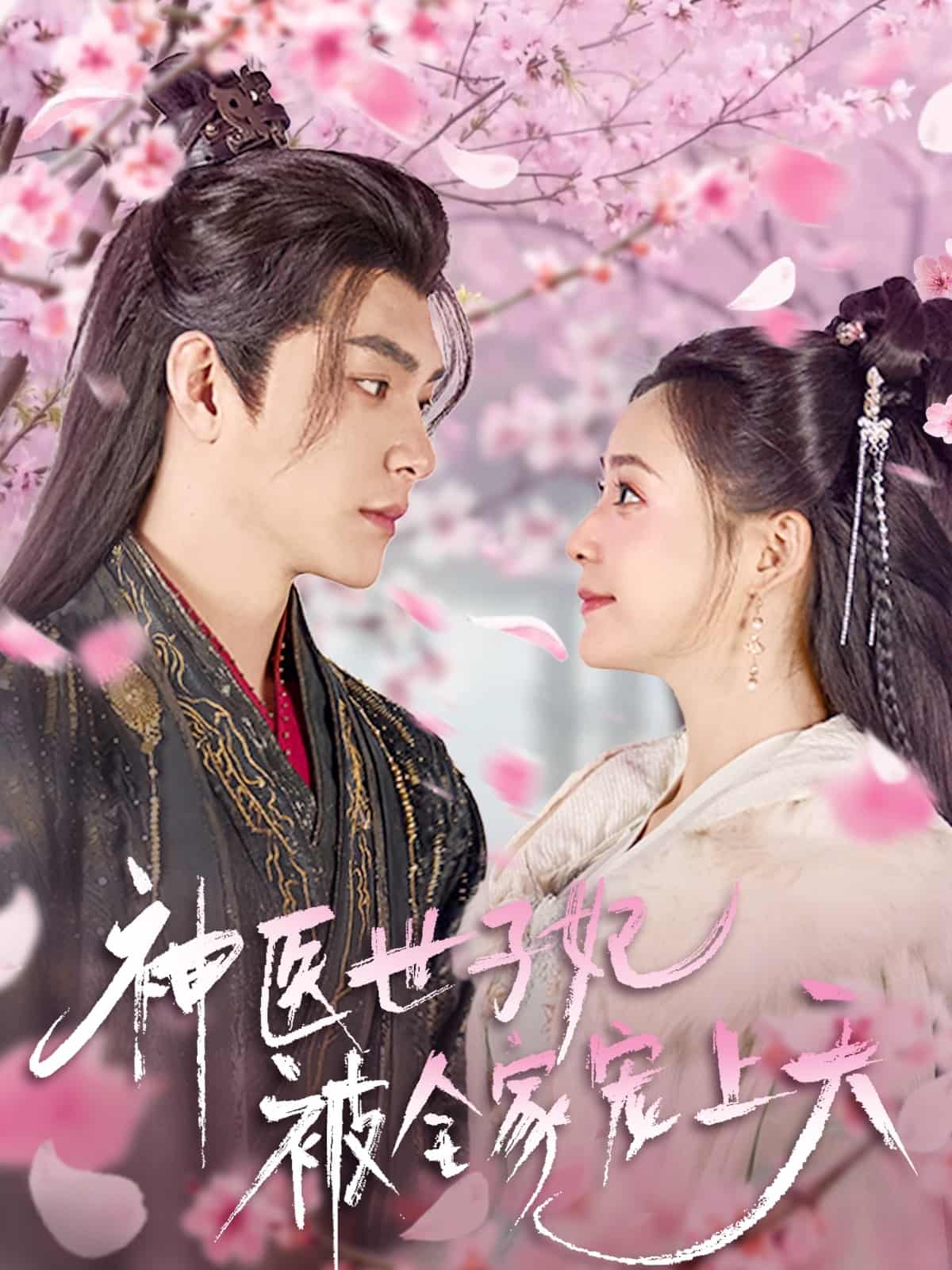神医世子妃被全家宠上天海报