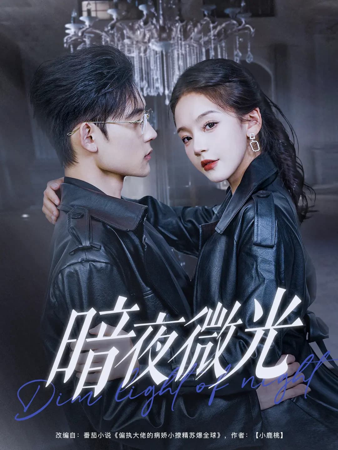暗夜微光海报