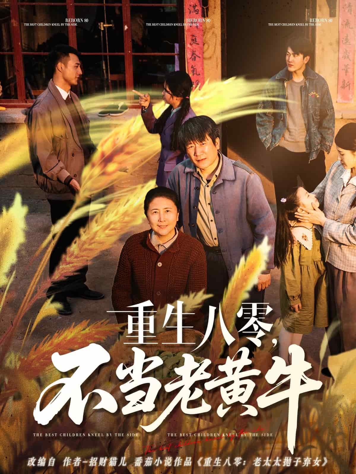 重生八零，不当老黄牛海报