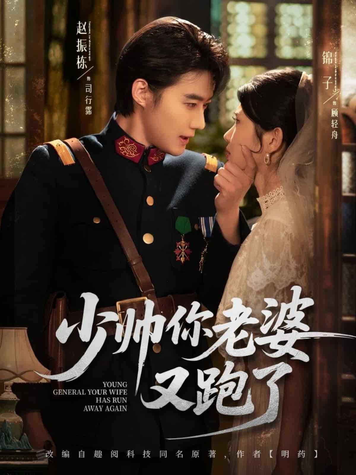 少帅你老婆又跑了海报