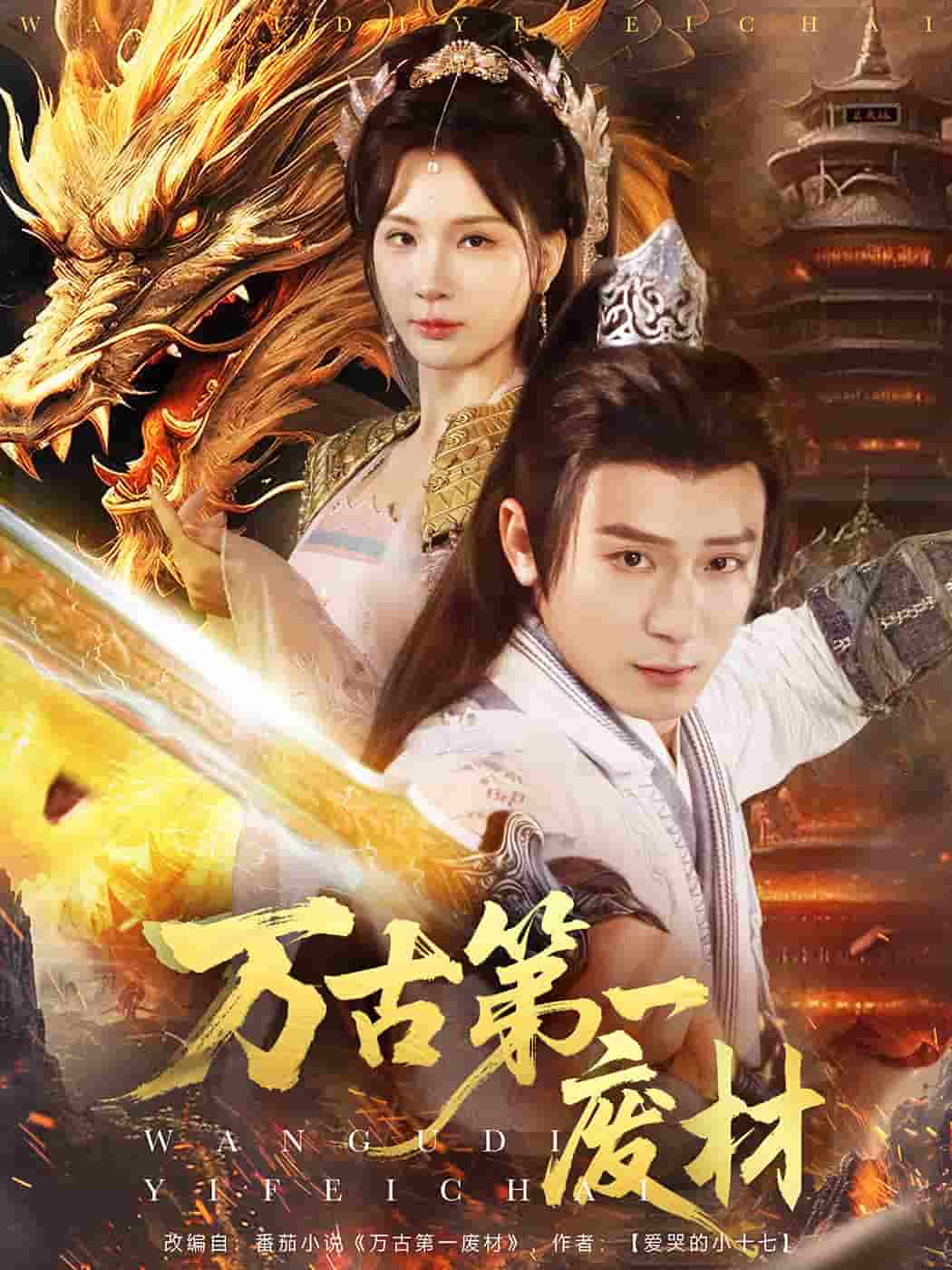 万古第一废材海报