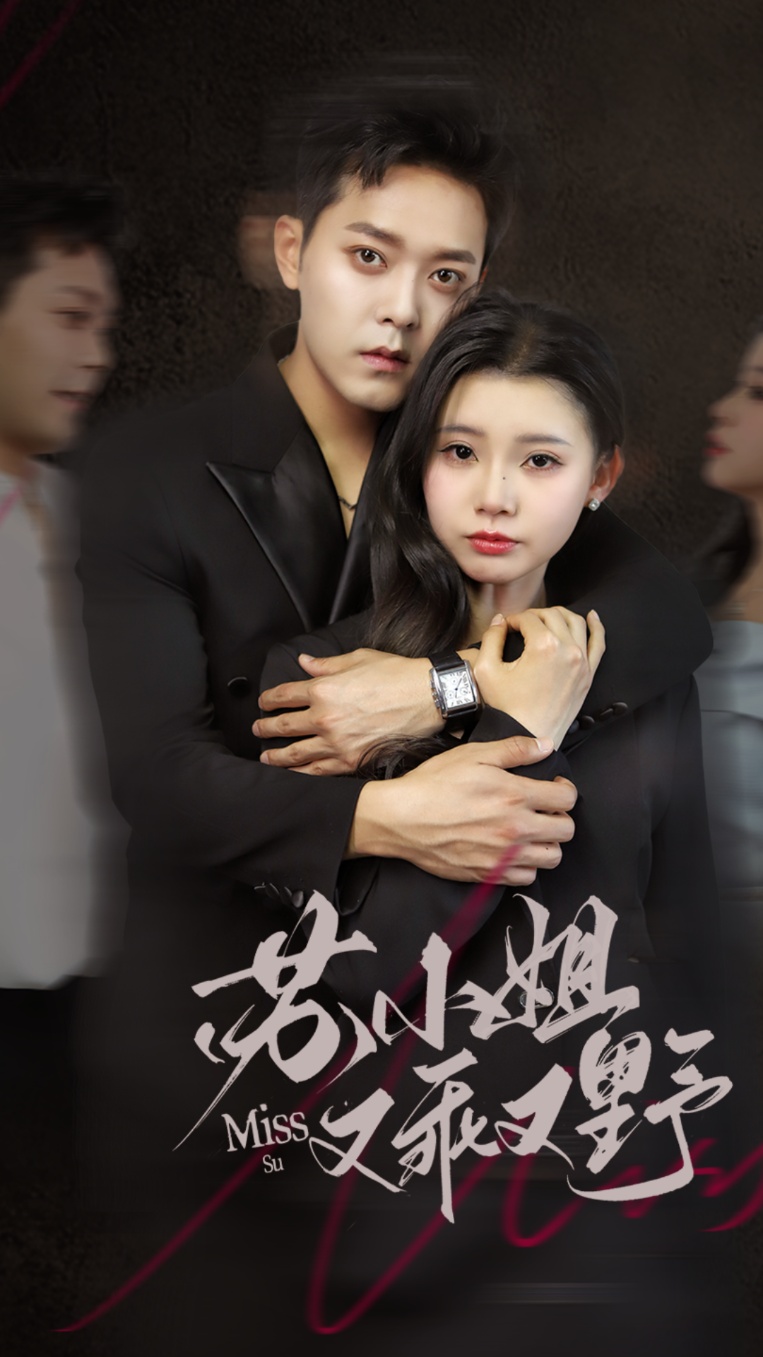 苏小姐又乖又野海报