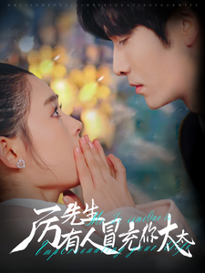 厉先生有人冒充你太太海报